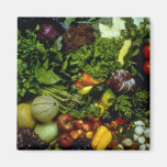 Fruit and vegetables magnet