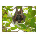 Fruit Bat posters by Shadowchaser Fruit Bat posters