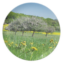 Fruit bloom time in a sea from dandelion and RAP Dinner Plate