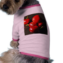 Fruit Cherries Cherry pet clothing