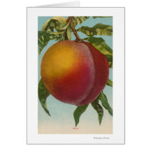 Fruit Chromo Lithograph of PeachFruitState Card