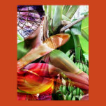 woman, nature, fruit, trees, bananas, leaves,