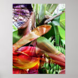 fruit flight fruit land posters