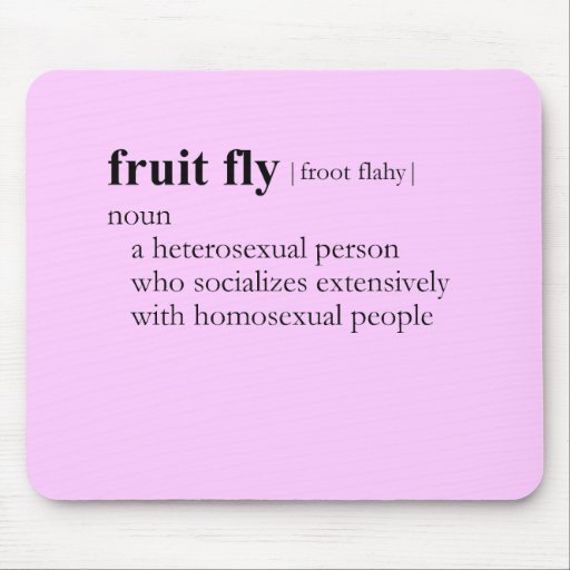 FRUIT FLY (definition) Mouse Mat