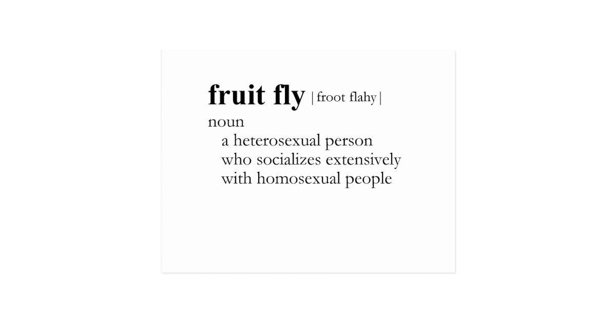 FRUIT FLY (definition) Postcard Zazzle