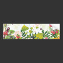 Fruit Garden Bumper Sticker bumper stickers