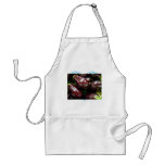 Fruit of eggplants aprons