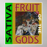 FRUIT OF THE GODS SATIVA POSTER