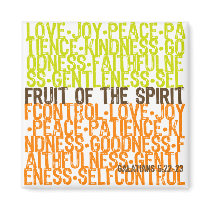 Fruit of the Spirit Magnet