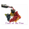 Fruit Of The Vine Poster posters
