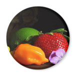 fruit-still-life magnets