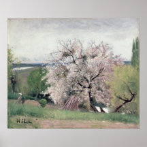 Fruit Tree in Blossom, Bois-le-Roi Print
