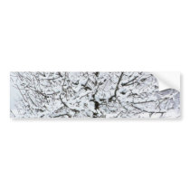 Fruit Tree In Winter Clothing bumper stickers by lifesphere Fruit Tree In Winter Clothing bumper stickers