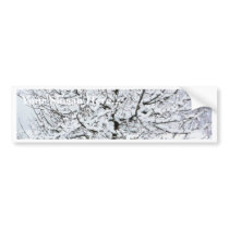 Fruit Tree In Winter Clothing bumper stickers by lifesphere Fruit Tree In Winter Clothing bumper stickers