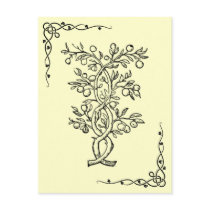 Fruit Tree Postcard by musicaficta Fruit Tree Postcard
