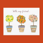 hello my friend, friendship, garden, gardeners,