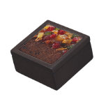 Fruitcake Safe Premium Jewelry Box