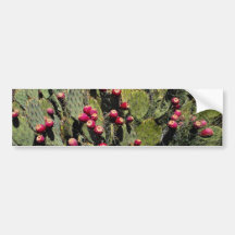 Fruited prickly pear cactus, Sonoran Desert Bumper Stickers