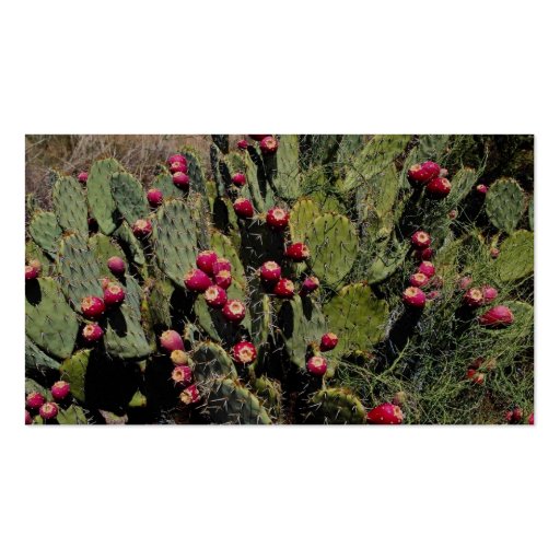 Fruited prickly pear cactus, Sonoran Desert Business Card Template (back side)