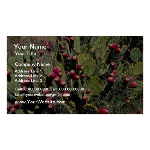 Fruited prickly pear cactus, Sonoran Desert Business Card Template (front side)