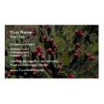 Fruited prickly pear cactus, Sonoran Desert Business Card Template