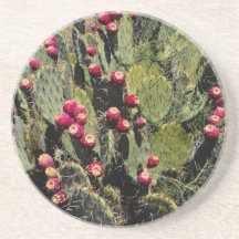 Fruited prickly pear cactus, Sonoran Desert Coaster