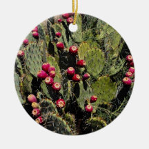 Fruited prickly pear cactus, Sonoran Desert Ornament
