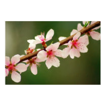 fruitful flowers print by cvmcdowell fruitful flowers print