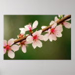 fruitful flowers print