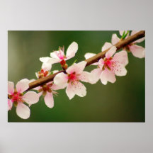 fruitful flowers print