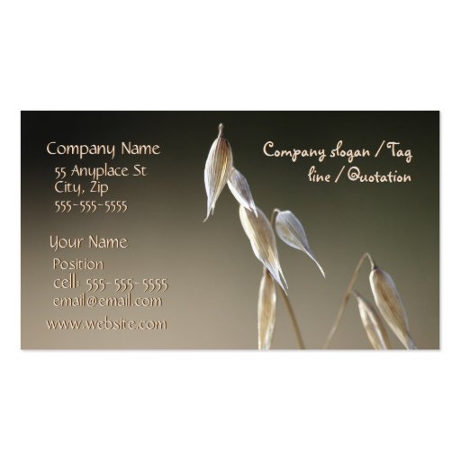 Fruiting Wild Oat business card template (front side)