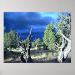 Fruitland Clouds Poster