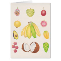 Fruits 2 cards by joeyartist Fruits 2 cards
