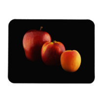 Fruits Lineup Rectangle Magnets