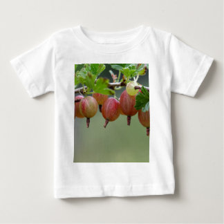 gooseberry shirts