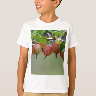 gooseberry t shirts