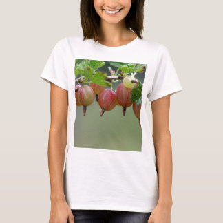 gooseberry t shirts