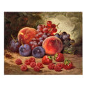 Fruits of Summer posters