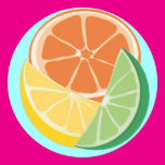 Fruity and Fun Round Stickers