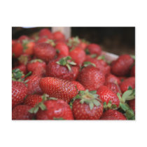Fruity postcards