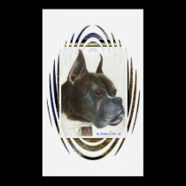 Frussy The Boxer posters