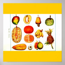 Fruta Poster-Botanicals-Mezclada
