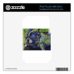 Fry Skin For iPod Touch 4G