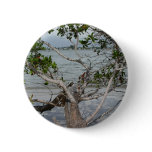 Ft. Myers Beach buttons