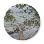 Ft. Myers Beach magnets