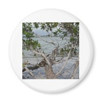 Ft. Myers Beach Refrigerator Magnet