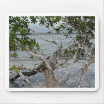 Ft. Myers Beach mousepads by Debrene Ft. Myers Beach mousepads