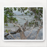 Ft. Myers Beach mousepads