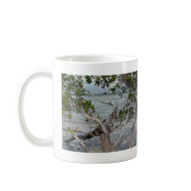 Ft. Myers Beach mugs by Debrene Ft. Myers Beach mugs