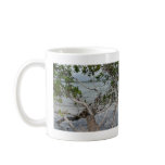 Ft. Myers Beach mugs